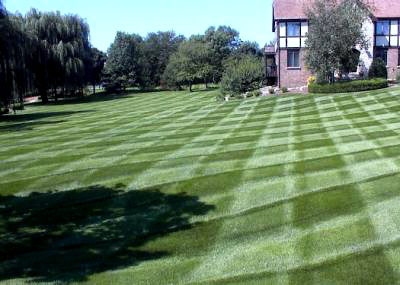 Mowing Services, Louisville KY