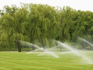 Irrigation 1
