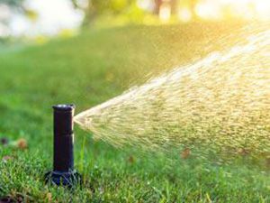 Irrigation 2