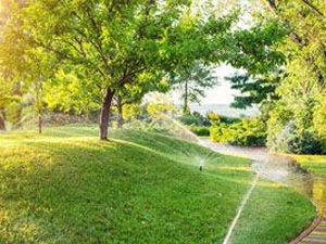 Irrigation 7