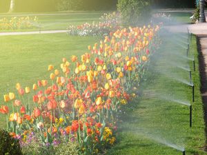 Irrigation 8