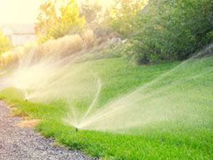 Irrigation 9
