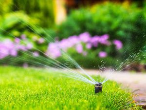 Irrigation 10