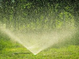 Irrigation 11