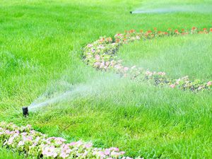 Irrigation 12