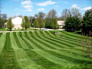 Lawn Care, Crestwood, KY