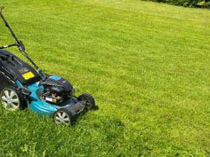 Lawn Care - mowing 1