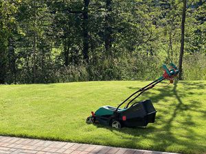 Lawn Care - mowing 2