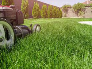 Lawn Care - mowing 3