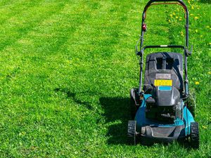 Lawn Care - mowing 6